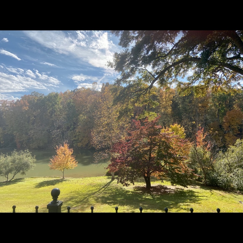 Meet your Posher, Dana